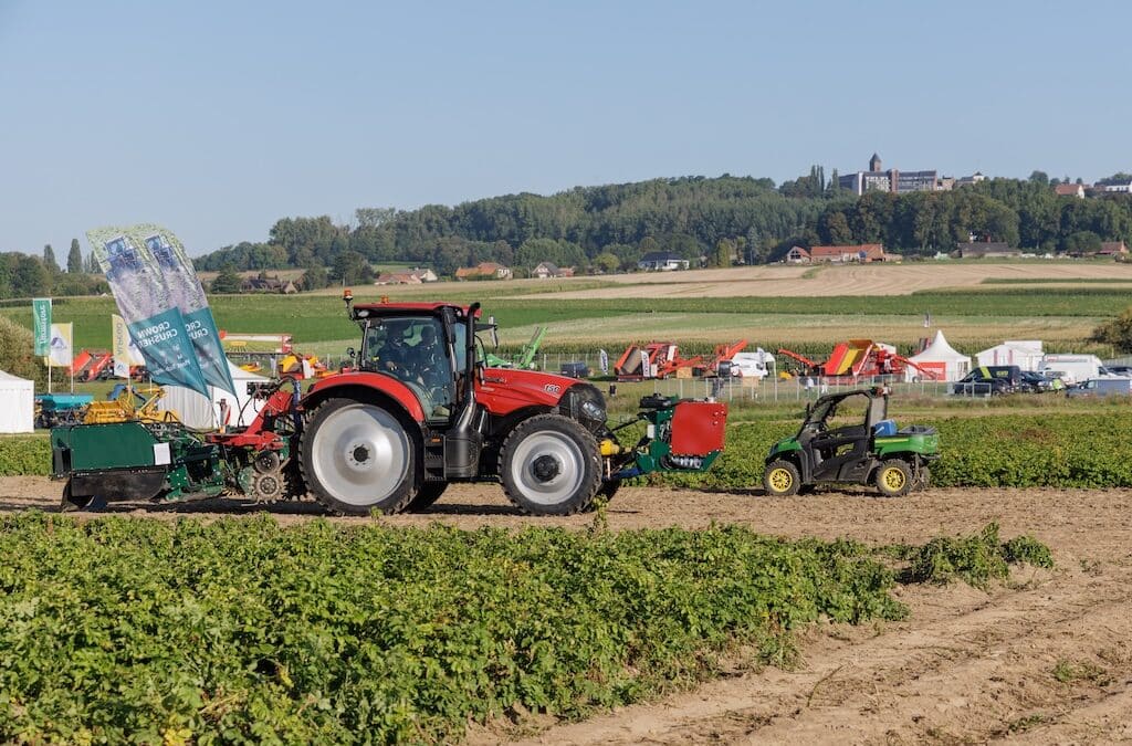 Is België goed op weg om een wijnland te worden?